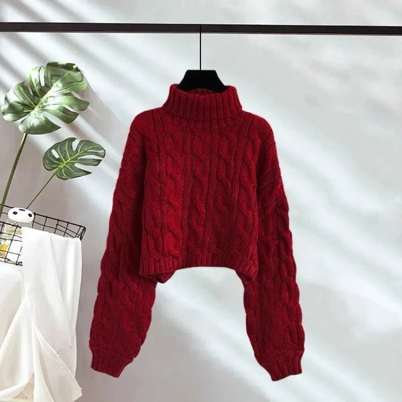 Ulvly Chunky Turtleneck Crop