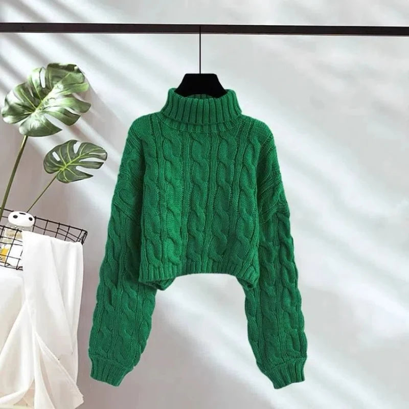 Ulvly Chunky Turtleneck Crop