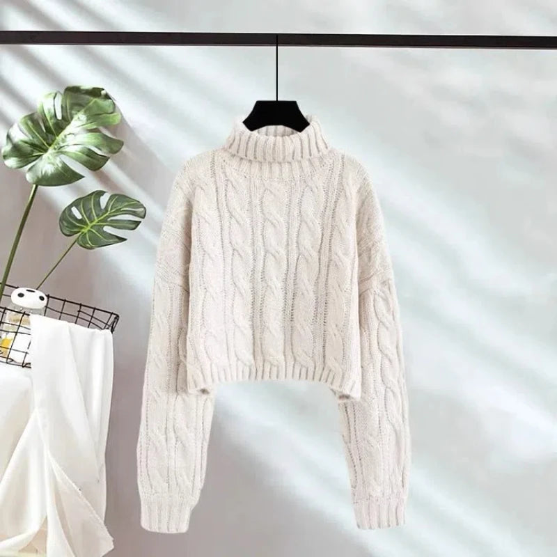 Ulvly Chunky Turtleneck Crop