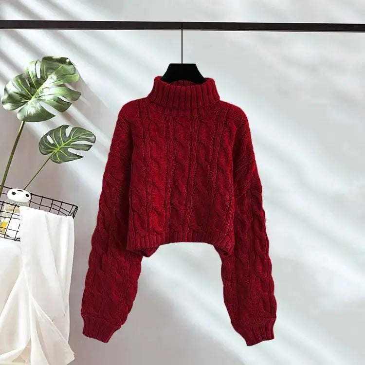 Ulvly Chunky Turtleneck Crop