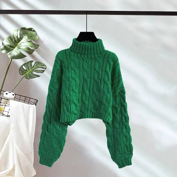 Ulvly Chunky Turtleneck Crop