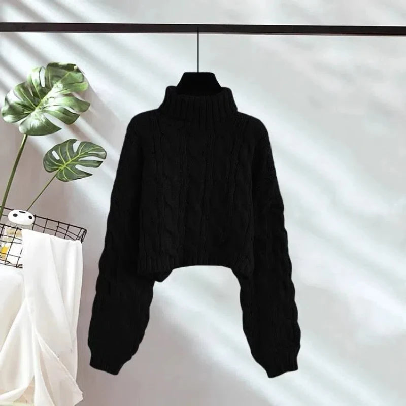 Ulvly Chunky Turtleneck Crop
