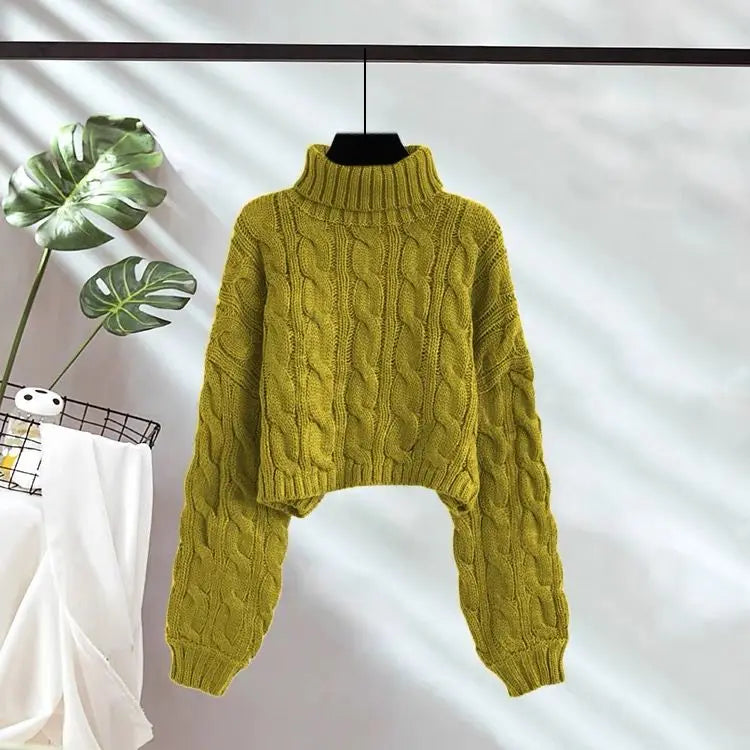 Ulvly Chunky Turtleneck Crop