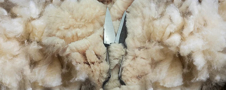 Ulvly Pure Cashmere Spring Scarf